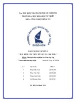 Báo cáo bài tập lớn 1 thực hành cấu trúc dữ liệu và giải thuật Đề tài Đánh giá thực nghiệm các hàm sắp xếp