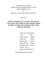 Những thành tựu và hạn chế trong xây dựng nền kinh tế thị trường Định hướng xã hội chủ nghĩa Ở việt nam thời kỳ Đổi mới