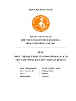 Hoàn thiện quy Định về chống bán phá giá tại việt nam trong bối cảnh hội nhập quốc tế