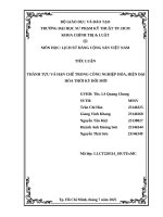 Tiểu luận thành tựu và hạn chế trong công nghiệp hóa, hiện Đại hóa thời kỳ Đổi mới