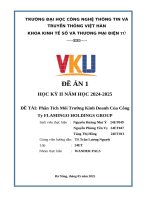 Đề tài phân tích môi trường kinh doanh của công ty flamingo holdings group