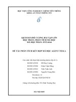 Đề tài phân tích kết hợp mã Độc agent tesla