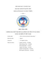 Bài tập lớn chính sách hỗ trợ hộ gia Đình chuyển từ xe xăng sang xe Điện Ở việt nam