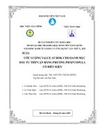 Ước lượng value at risk cho danh mục Đầu tư tiếp cận bằng phương pháp copula có Điều kiện