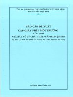 Báo cáo Đề xuất cấp giấy phép môi trường cơ sở nhà máy xử lý chất thải ngành luyện kim