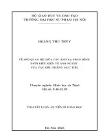 TÓM LẠI: VỀ MỐI QUAN HỆ GIỮA CÁC ÁNH XẠ PHÂN HÌNH DƯỚI ĐIỀU KIỆN VỀ ẢNH NGƯỢC CỦA CÁC SIÊU PHẲNG MỤC TIÊU