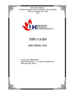 IUH - TIỂU LUẬN BẤT ĐỘNG SẢN