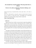 Swine In Vitro Embryo Production Sản Xuất Phôi Heo Trong Ống Nghiệm.pdf