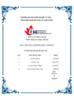 IUH - BÁO CÁO THỰC HÀNH PHỤ GIA THỰC PHẨM - PHỤ GIA LÀM ĐÔNG ĐẶC, LÀM DẦY