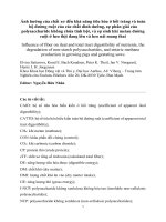 Influence of fiber Ảnh hưởng của chất xơ Đến nái sinh sản