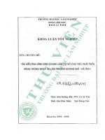 Tìm hiểu tình hình kinh doanh làm cơ sở cho việc phát triển rừng thông nhựa tại lâm trường hương khê   hà tĩnh