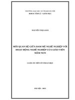 Mối quan hệ giữa Đam mê nghề nghiệp với hoạt Động nghề nghiệp của giáo viên mầm non