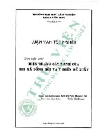 Hiện trạng cây xanh của thị xã Đồng hới và Ý kiến Đề xuất