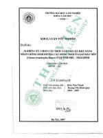 Nghiên cứu chọn cây trội và Đánh giá khả năng nhân giống sinh dưỡng các dòng trội Ở loài mây nếp (clamus teradactylus hance) Ở quỳnh phụ   thái bình