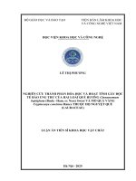 Nghiên cứu thành phần hóa học và hoạt tính gây Độc tế bào ung thư của hai loài quế hương cinnamomum bejolghota (buch   ham  ex nees) sweet