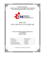 IUH - PHỤ GIA CẢI TẠO BỘT MÌ