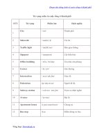 Description of daily life in city