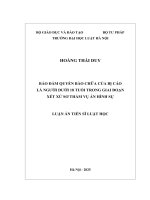 Bảo Đảm quyền bào chữa của bị cáo là người dưới 18 tuổi trong giai Đoạn xét xử sơ thẩm vụ Án hình sự