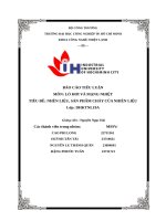 IUH - BÁO CÁO TIỂU LUẬN LÒ HƠI VÀ MẠNG NHIỆT - NHÊN LIỆU, SẢN PHẨM CHÁY CỦA NHIÊN LIỆU