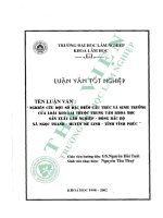 Nghiên cứu một số Đạc Điểm cấu trúc và sinh trưởng của loài keo lai thuộc trung tâm khoa học sản xuất lâm nghiệp   Đông bắc bộ xã ngọc thanh   huyện mê linh, tỉnh vĩnh phúc