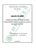 Tìm hiểu Ảnh hưởng của chế Độ che bóng tới sinh trưởng re hương (cinnamomum iners rienw ) giai Đoạn vườn Ươm