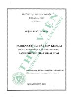 Nghiên cứu tạo cây con keo lai (acacia mangium x acacia auriculiformis) bằng phương pháp giâm hom