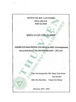 Nghiên cứu sinh trưởng của rừng sa mộc (cunninghamia lanceolata) tại lâm trường sapa   lào cai