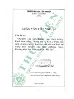 Nghiên cứu Ảnh hưởng của rừng trồng bạch Đàn trắng, thông mã vĩ, keo lá tràm Đến một số tính chất lý hóa học của Đất núi luốt tại trung tâm nghiên cứu thực nghiệm rừng   trường Đại học lâm nghiệp   hà tây