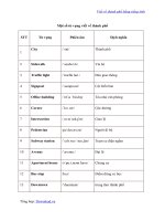 Description of favorite city