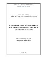 Quản lý rủi ro tại ngân hàng nông nghiệp và phát triển nông thôn   chi nhánh tỉnh Đắk lắk