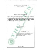 Bước Đầu Đánh giá khả năng tái sinh tự nhiên và kỹ thuật trồng dặm loài lim xanh (erythrophloeum fordii) dưới tán rừng sau khai thác chọn tại công ty lâm nghiệp và dịch vụ hương sơn   hà tĩnh