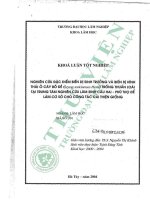 Nghiên cứu Đặc Điểm biến dị sinh trưởng và biến dị hình thái Ở cây bồ Đề (styrax tonkinensus pierre) trồng thuần loài tại trung tâm nghiên cứu lâm sinh cầu hai   phú thọ Để làm cơ sở cho công tác cải thiện giống