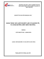 IUH - Tiểu luận KINH TẾ TÀI NGUYÊN KHOÁNG SẢN - KHAI THÁC ĐÁ LỢI ÍCH BẤT LỢI CỦA KINH TẾ, VÀ ẢNH HƯỞNG ĐẾN MÔI TRƯỜNG
