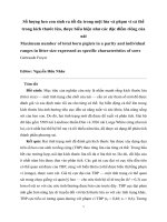 Maximum number of total born piglets số lượng heo con sinh ra