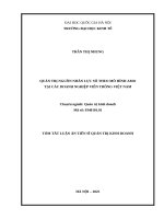 QUẢN TRỊ NGUỒN NHÂN LỰC SỐ THEO MÔ HÌNH AMO TẠI CÁC DOANH NGHIỆP VIỄN THÔNG VIỆT NAM