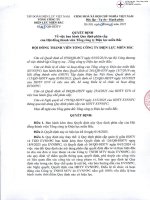 118 qđ phân cấp hđtv tgđ evnnnpc