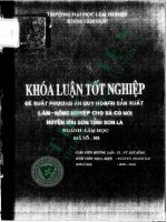 Đề xuất phương Án quy hoạch sản xuất lâm nông nghiệp cho xã cò nòi, huyện mai sơn, tỉnh sơn la