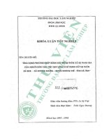 Ứng dụng phương pháp Đánh giá nông thôn có sự tham gia của người dân vào việc quy hoạch sử dụng Đất tại thôn Đá Đen   xã hương giang   huyện hương khê   tỉnh hà tĩnh