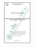 Nghiên cứu chọn cây trồng phù hợp cho rừng khoanh nuôi Ở huyện na rì, tỉnh bắc cạn