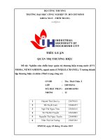 IUH - TIỂU LUẬN QUẢN TRỊ THƯƠNG HIỆU - Nghiên cứu chiến lược quản trị thương hiệu trong nước (IVY MODA, NEM FASHION), ngoài nước (UNIQLO, CHANEL). Ý tưởng thành lập thương hiệu cá nhân (Thời trang công sở)
