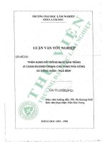 Phân hạng Đất trồng bạch Đàn trắng (e camaldulensis dehnh) cho vùng phía Đông xã Đông xuân   hòa bình