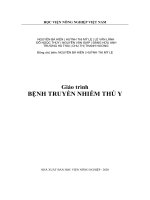 Gt truyền nhiễm thú y