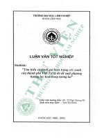 Tìm hiểu và Đánh giá hiện trạng cây xanh của thành phố việt trì từ Đó Đề xuất phương hướng lục hoá trong tương lai