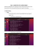 ELK – GIÁM SÁT LƯU LƯỢNG MẠNG