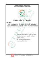 Lập phương Án tổ chức sản xuất bàn ghế ngoài trời nackanas tại công ty woodsland