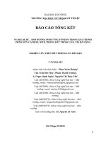 Sv2025 48 bc  Ảnh hưởng phản Ứng fenton trong quá trình phân hủy cacbon, nito trong Đất trồng lúa tại Đà nẵng nghiên cứu trên Đất trồng lúa dài hạn