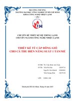 IUH - CHUYÊN ĐỀ THIẾT KẾ HỆ THỐNG LẠNH - THIẾT KẾ TỦ CẤP ĐÔNG GIÓ CHO CÁ THU BIỂN NĂNG SUẤT 1 TẤN/MẺ