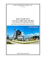 Báo cáo Đề xuất cấp giấy phép môi trường nhà máy nhiệt Điện na dương