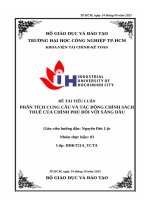 IUH - PHÂN TÍCH CUNG CẦU VÀ TÁC ĐỘNG CHÍNH SÁCH THUẾ CỦA CHÍNH PHỦ ĐỐI VỚI XĂNG DẦU