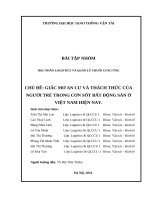 Chủ Đề giấc mơ an cư và thách thức của người trẻ trong cơn sốt bất Động sản Ở việt nam hiện nay